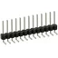 PEC13SGAN