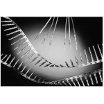 SOURIAU-SC20M-1S6 Connector Contact Contact SKT 16 Size Crimp ST Cable Mount 20-22AWG Reel