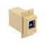 ECF504-3BA-IVY ECF504-3BA-IVY