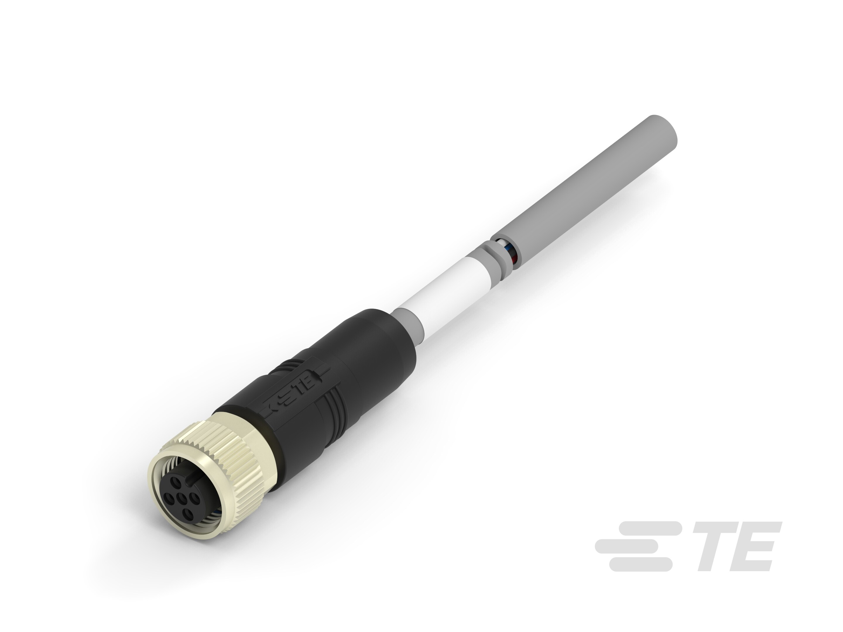 M12A5-FS-PVC-4.0M-TAA753A1611-040 M12A5-FS-PVC-4.0M-TAA753A1611-040