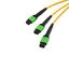 MPF24212SMR-CA-1 MPF24212SMR-CA-1