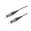 FCA-MSTMSTM1SXMT-01 FCA-MSTMSTM1SXMT-01