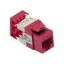CM-101701RDBSTK CM-101701RDBSTK