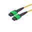 MPMM24SMAR-10 MPMM24SMAR-10