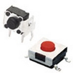 95CAP-004 95CAP-004
