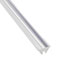 PL1629NAST PL1629NAST