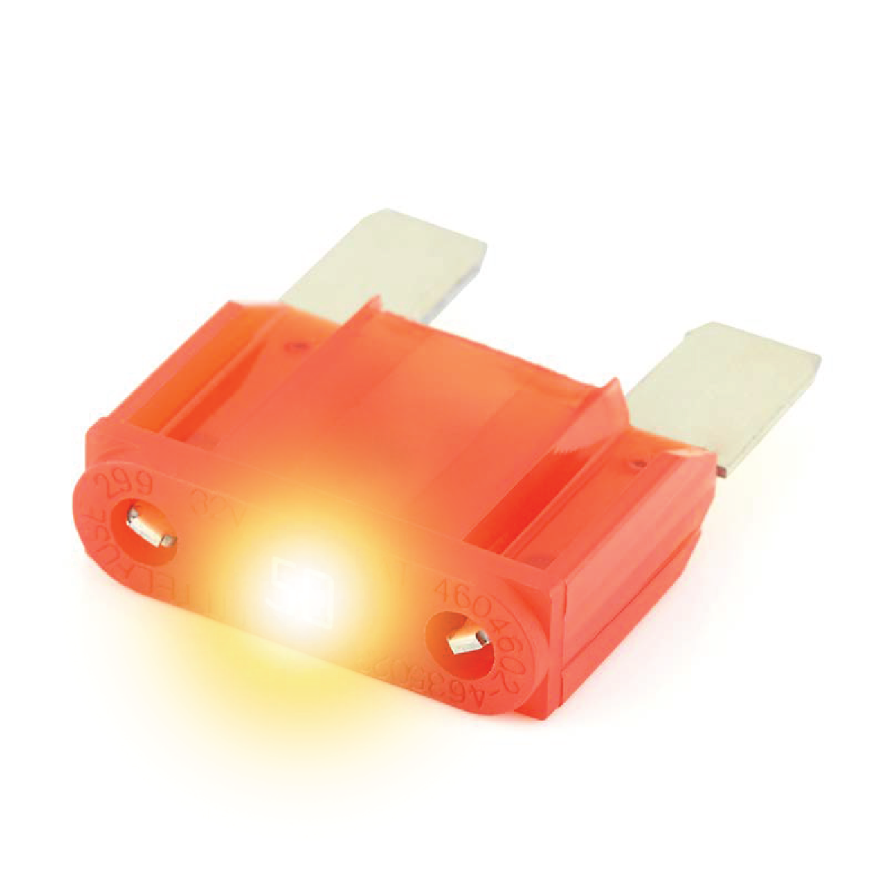 0MAX060.XPGLO product image