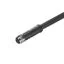 2050491000 2050491000