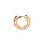 RCT24-2500-10M RCT24-2500-10M