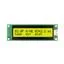 NHD-0220DZ-FL-YBW