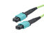 MPMF24OM5AP-3 MPMF24OM5AP-3