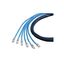 CAF2108036A06 CAF2108036A06