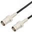 LCCA31119-FT1 LCCA31119-FT1