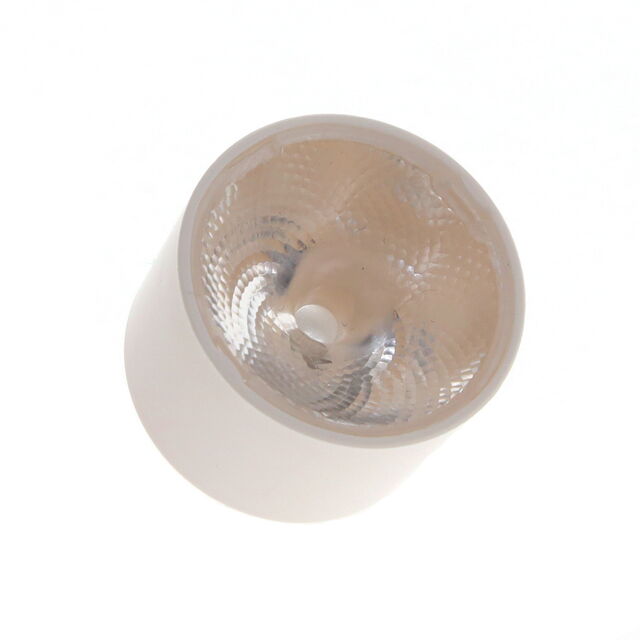 CA18484_LEILA-Y-SS-WHT