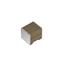 CKG57NX7R1V107M500JJ CKG57NX7R1V107M500JJ