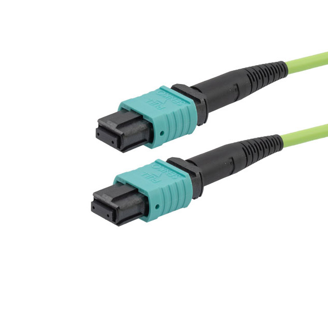 MPFF24OM5AP-1 MPFF24OM5AP-1
