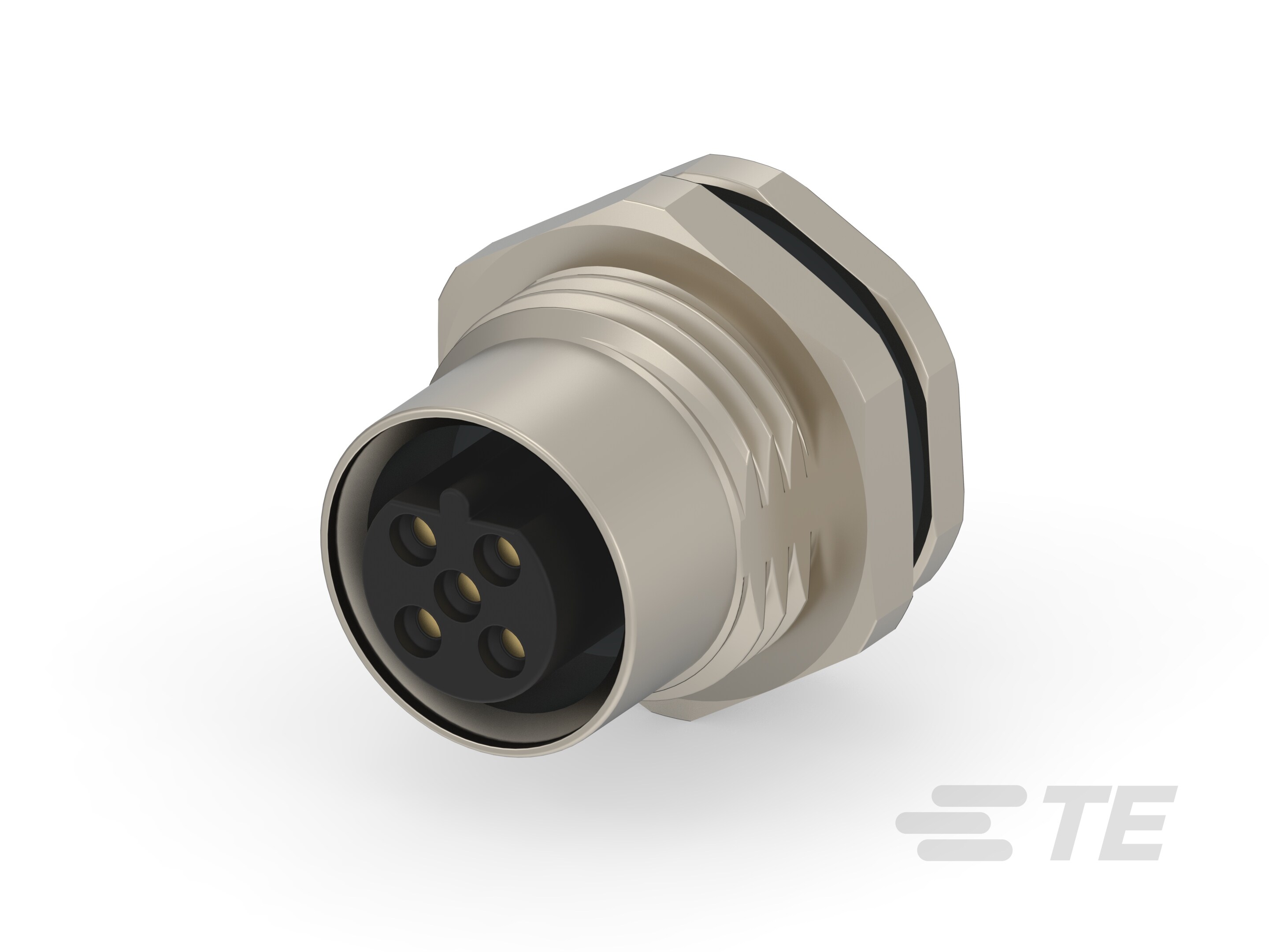 M12,REAR MOUNTING,FEMALE,B,2P,0.2M WIRE-T4171110402-001 M12,REAR MOUNTING,FEMALE,B,2P,0.2M WIRE-T4171110402-001