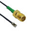 CB1.37-IPX4LLK-SARFGT-12IN CB1.37-IPX4LLK-SARFGT-12IN