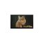 ST0700J4W-RSLW-F ST0700J4W-RSLW-F