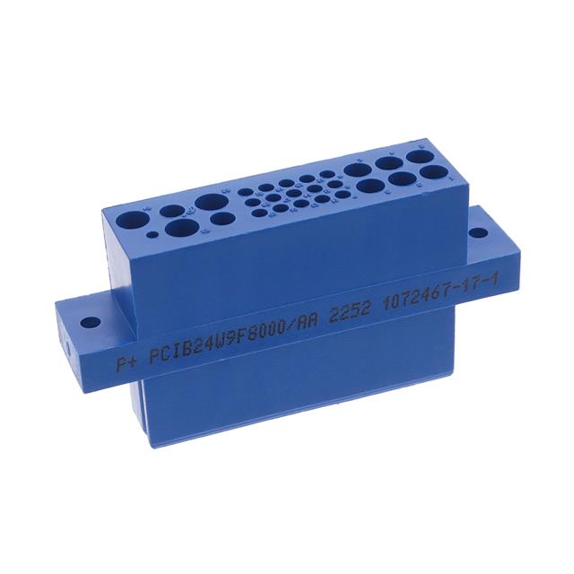 PCIB24W9F8000/AA