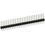 PEC25SGAN