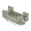 DF13E-10DP-1.25V(21)