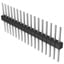 PEC17SFCN