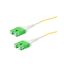 FCA-SCASCA-UBDS2P-05 FCA-SCASCA-UBDS2P-05