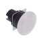 A22NZ-BMA-NWA A22NZ-BMA-NWA