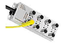 1201190043 - MPIS Ultra-Lock (M12) Stainless Steel Distribution Box with Molded Cable, Top-Mount, 8 Port Ultra-Lock, 10.0m Cable, IP69K