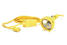 1301050060 - Watertite Wet Location 35W Flood Light with 220V/12V In-line Transformer, Screw Release Guard, 14/2 SOOW, Overall Length 7.62m (50.0')