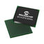 M1A3PE3000L-1FGG896I