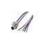 1238569 1238569