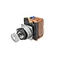 A22NK-2MM-01AA-G100 A22NK-2MM-01AA-G100