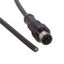 M12D-04BMMM-PL8D02 M12D-04BMMM-PL8D02