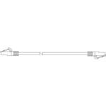 Amphenol Communications Solutions-MP-64RJ45UNNA-020 Cable Assembly Other Cable Assembly Cat 6 UTP 6.096m 24AWG RJ-45 to RJ-45 8 to 8 POS M-M Crimp-Crimp