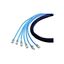 CAF1108010A06 CAF1108010A06