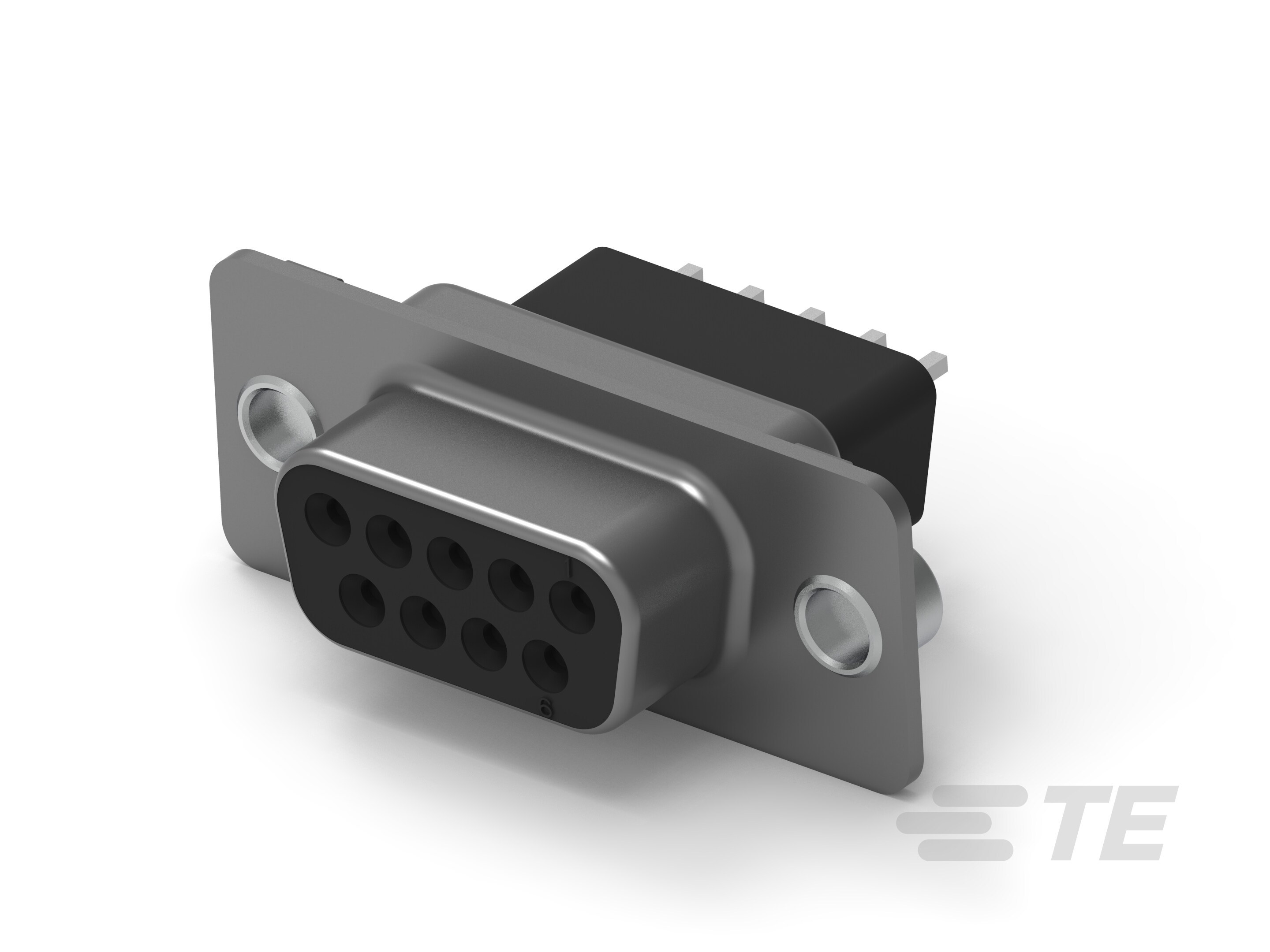 09 RCPT SP/MS CNUT-5747190-2 09 RCPT SP/MS CNUT-5747190-2