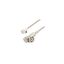 LCCA31282-FT1 LCCA31282-FT1