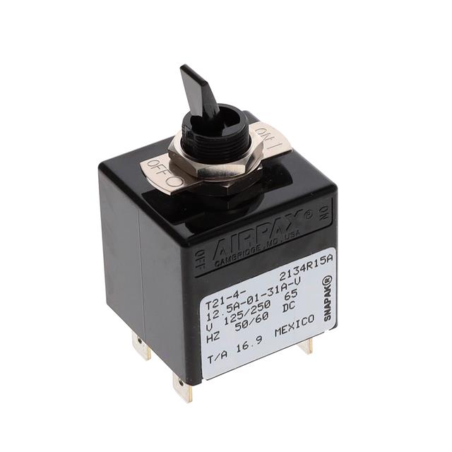 T21-4-12.5A-01-31A-V