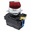 A22NW-2RL-TRA-G100-RE A22NW-2RL-TRA-G100-RE