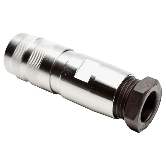 C091 31D005 101 2 Back C091 31D005 101 2 Back