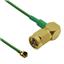 CB1.32D-IPX-SALMGT-6IN CB1.32D-IPX-SALMGT-6IN