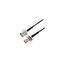 LCCA31199-FT2 LCCA31199-FT2