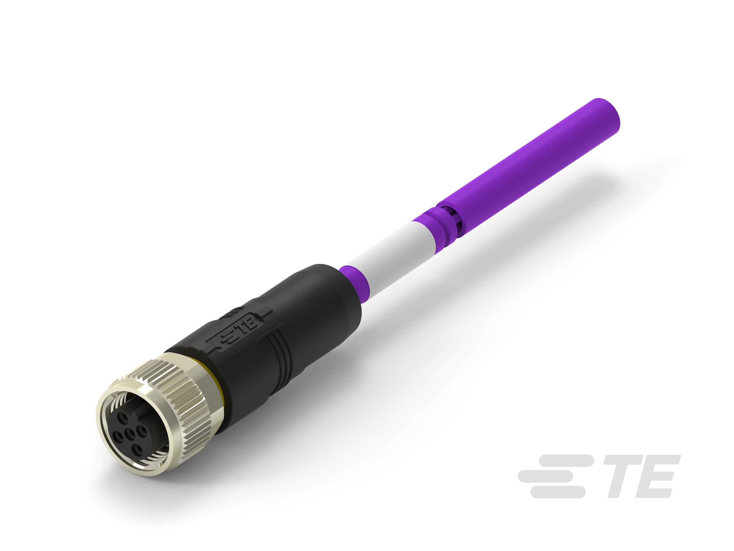 M12B2-FS-PUR-6.0M-TAB62335501-060 M12B2-FS-PUR-6.0M-TAB62335501-060