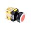 NF25W-PAR11 NF25W-PAR11