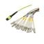 MPM12OM5-LCZ-1 MPM12OM5-LCZ-1