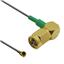 CB1.17LL-IPX-SALMGT-6IN CB1.17LL-IPX-SALMGT-6IN