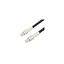 LCCA31237-FT1 LCCA31237-FT1