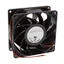 DC0923824M2B-2T0 DC0923824M2B-2T0